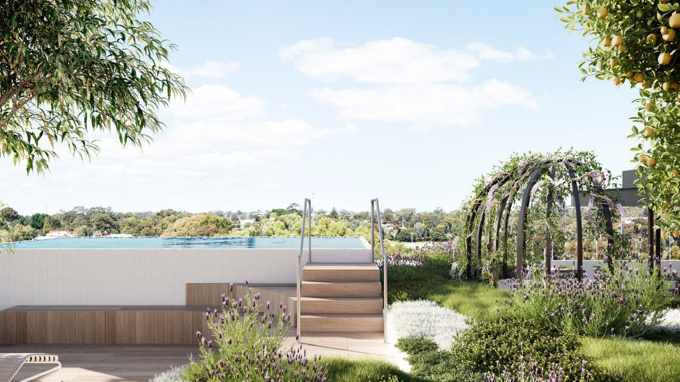 jolie jolimont swimming pool